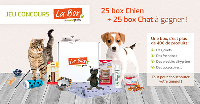 Tentez de gagner un box Woopets pour votre chien ou votre chat