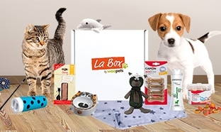 Jeu Woopets : 25 box chien et 25 box chat à gagner