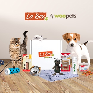 Jeu Woopets : 25 box chien et 25 box chat à gagner