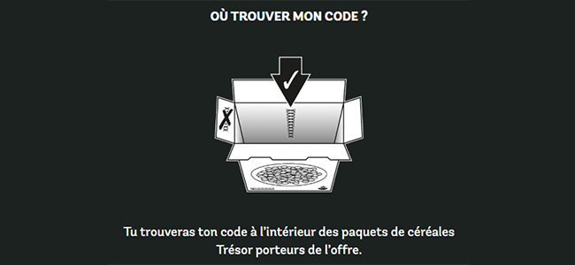 ou trouver le code à utiliser sur www.chocovore.com