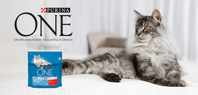 testez les croquettes Purina One Bifensis pour chats stérilisés