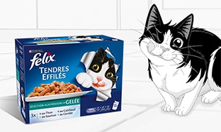 Test Purina Félix Tendres Effilés : 300 packs pour chats gratuits