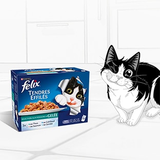 Test Purina Félix Tendres Effilés : 300 packs pour chats gratuits