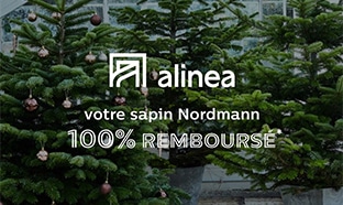 Alinea : Sapin 100% remboursé en bon d’achat