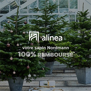 Alinea : Sapin 100% remboursé en bon d’achat