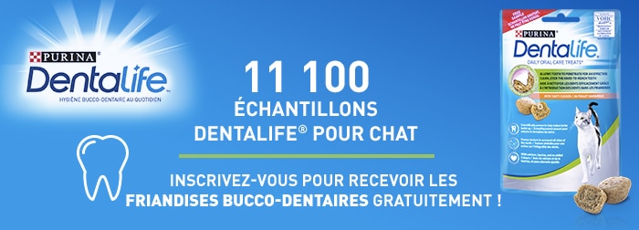 Sachets de friandises bucco-dentaires Dentalife pour chats offerts