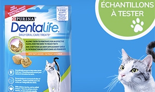 11’100 échantillons gratuits de friandises Dentalife pour chats