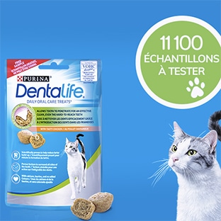 11’100 échantillons gratuits de friandises Dentalife pour chats