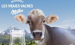 Jeu Les vraies vaches Milka