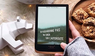 Bon plan Cultura : Ebooks gratuits