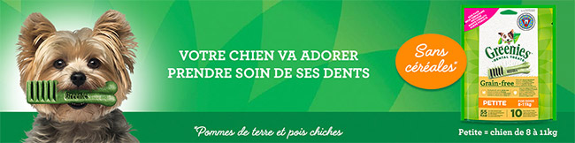 Recevez gratuitement un échantillon de bâtonnets à mâcher Greenies