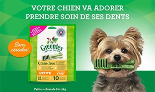 Échantillons gratuits : Bâtonnets à mâcher Greenies pour chiens