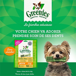 Échantillons gratuits : Bâtonnets à mâcher Greenies pour chiens