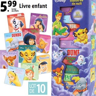 lidl barriere securite