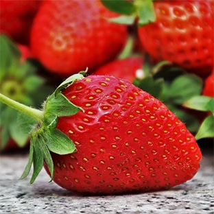 Lidl : Barquette de 500g de fraises origine France à 2,49€