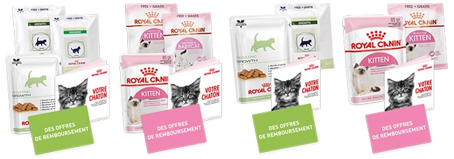Les différents kits gratuits pour chatons