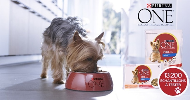 Tentez de tester gratuitement 3 échantillons de produits Purina One Mini pour chiens