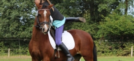Journée du cheval - Tous à cheval FFE 2022
