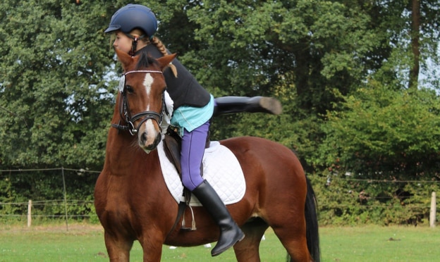 Journée du cheval - Tous à cheval FFE 2022
