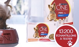 Test Conso Animo : échantillons pour chien Purina One Mini gratuits