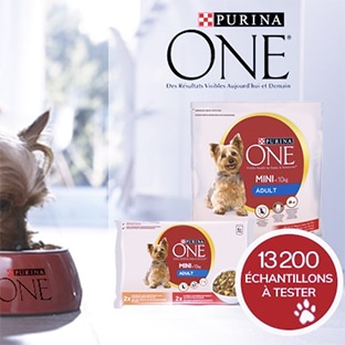 Test Conso Animo : échantillons pour chien Purina One Mini gratuits