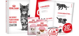 Royal Canin : Coffret chaton gratuit sur simple demande