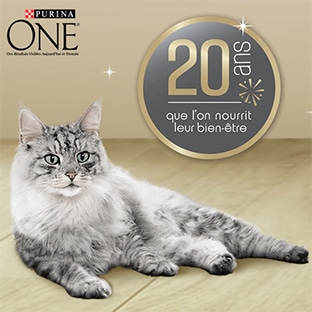 Coussin chat gratuit avec vos achat de croquettes Purina One