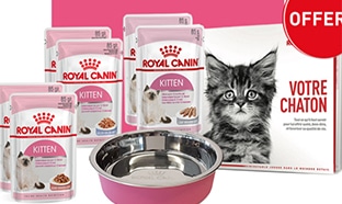 Royal Canin : Kits chaton offerts en magasin