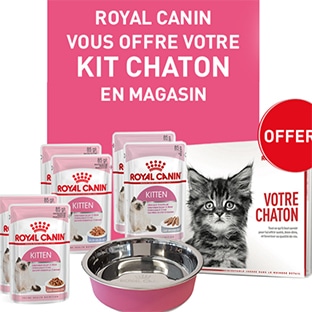 Royal Canin : Kits chaton offerts en magasin