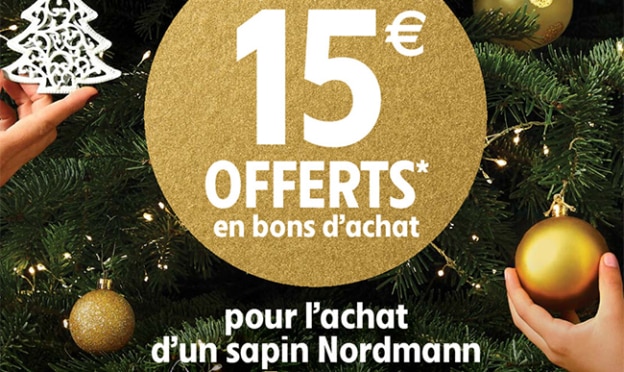 Bon plan Sapin de Noël chez Intermarché : Bon d'achat offert