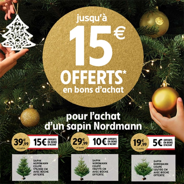Bon plan Sapin de Noël chez Intermarché : Bon d'achat offert