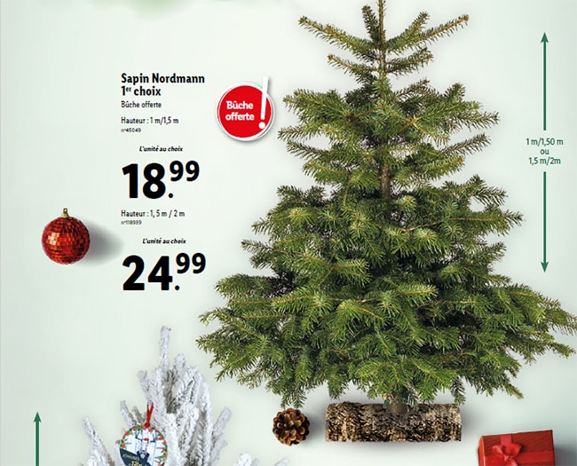Lidl Sapin de Noël Nordmann 1er choix ou enneigé pas cher