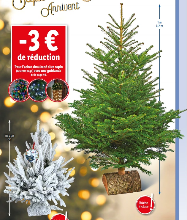Vrai Sapin De Noel Prix 2025 Kary Beatrix