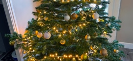 Auchan : 1 sapin de Noël acheté = bon d'achat de 10€ offert