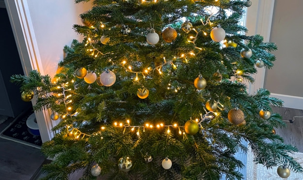 Auchan : 1 sapin de Noël acheté = bon d'achat de 10€ offert