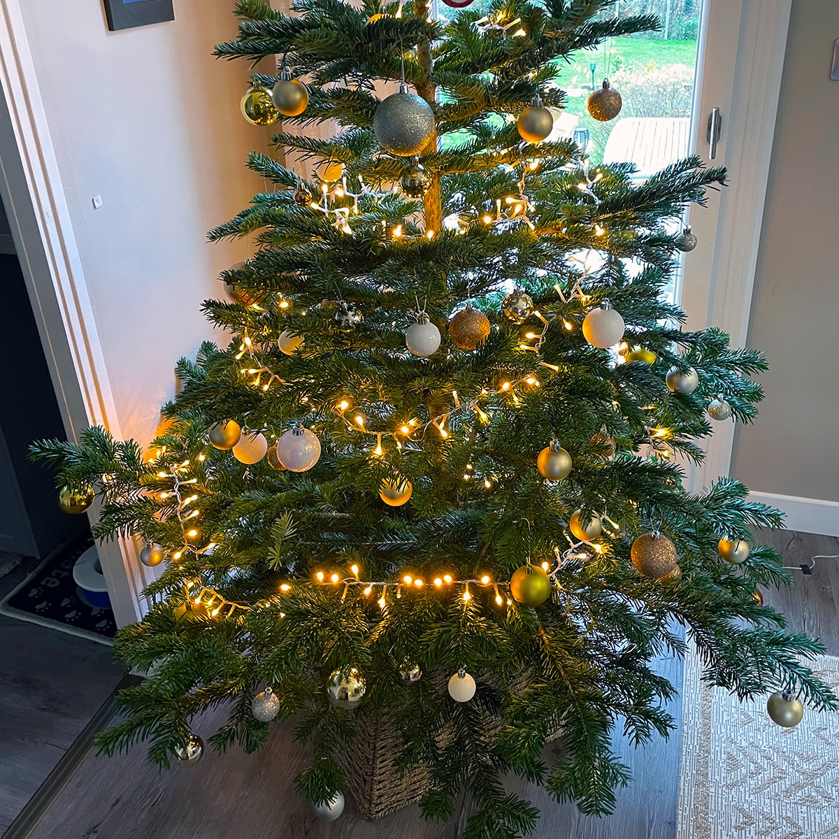 Auchan : 1 sapin de Noël acheté = bon d'achat de 10€ offert