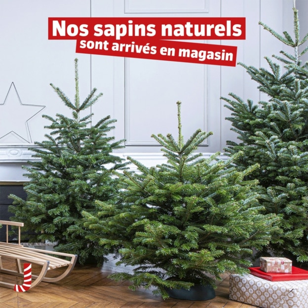 Sapin de Noël Jardiland 15€ offerts en bon d’achat