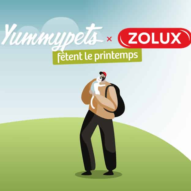 Jeu Yummypets : Pack Zolux, 10 cartes Amazon de 50€…