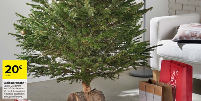 sapins Nordmann 125/150cm à 20€ dans les supermarchés Carrefour