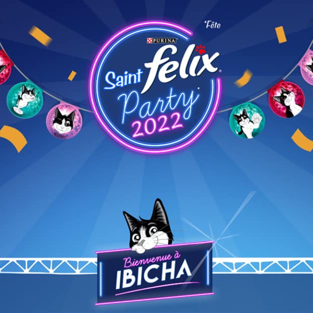Jeu Saint Felix 2022 sur Saint-felix.com
