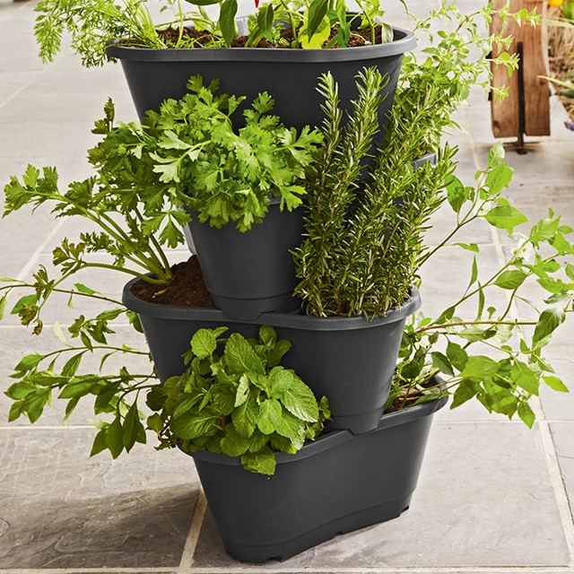 Jardinière Verticale Empilable 5 Niveaux Nicoman – Noir, Système Drainage, Hauteur 68 Cm, Pot Multicouche Herbes, Fleurs, Petits Légumes