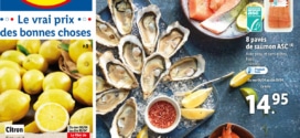 Catalogue Lidl Foire aux poissons du 6 au 12 avril 2022