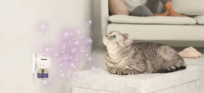 Testez gratuitement le diffuseurs Feliway Optimum avec Sampleo