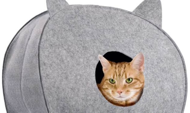 Lidl : Panier cabane pour chat pas cher