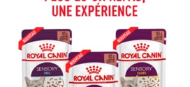 Échantillons gratuits d'aliment pour chat Sensory Royal Canin
