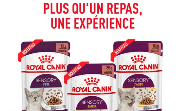 Échantillons gratuits d'aliment pour chat Sensory Royal Canin