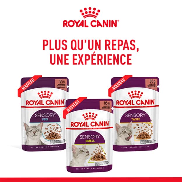 Échantillons gratuits d'aliment pour chat Sensory Royal Canin