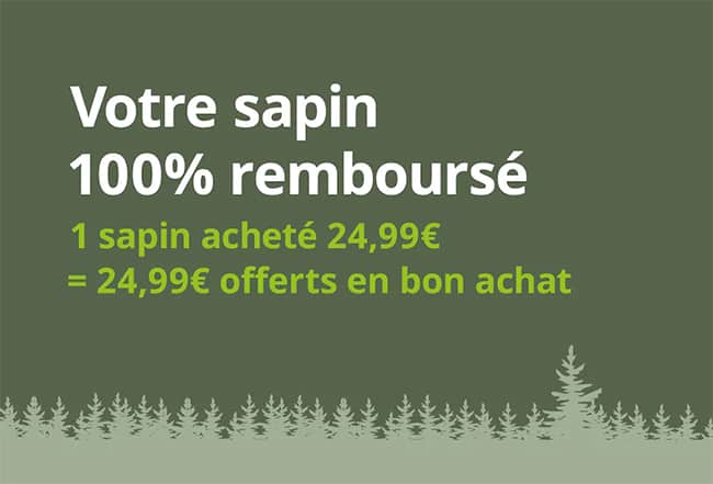 Offre de remboursement sur le sapin de noël Ikea avec (carte cadeau offerte)