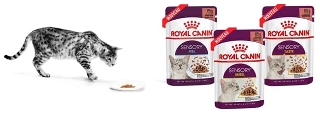 3 sachets gratuits de nourriture humide Sensory Royal Canin
