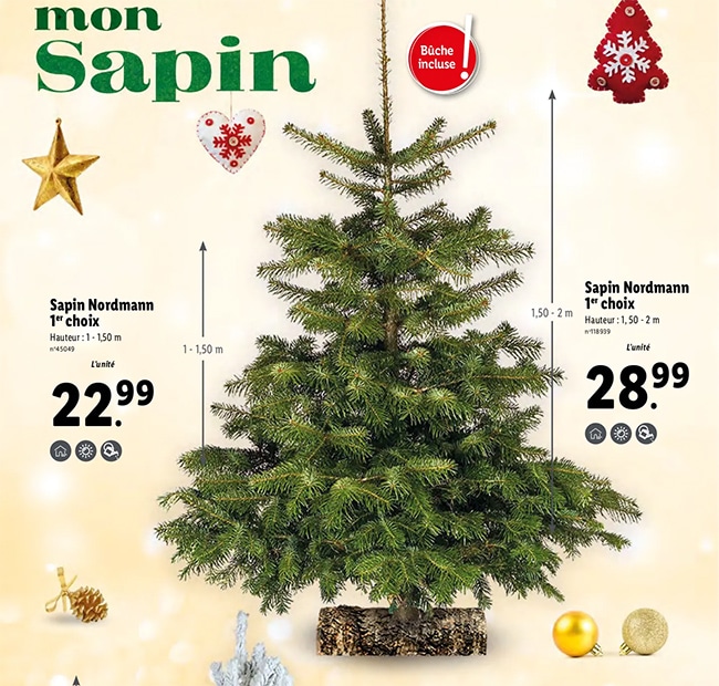 Sapin de Noël Nordman ou enneigé à petit prix chez Lidl